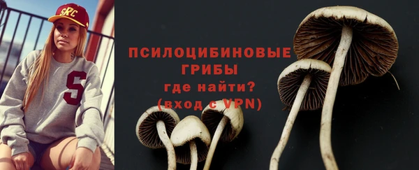 дурь Верея