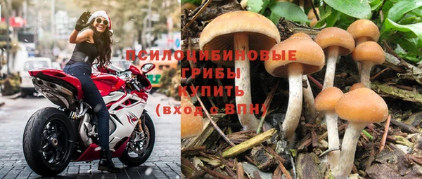 СК Бугульма