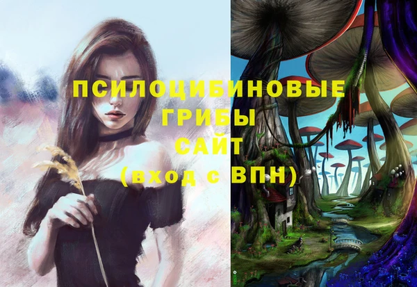 дурь Верея
