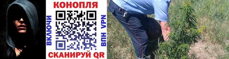 купить цена Данилов Конопля гибрид